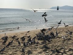 -海云台海滩