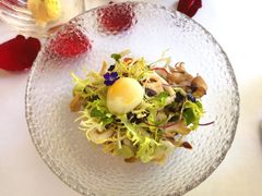 -蝶舍·MAISON PAPILLON