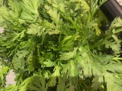 -蜀九香火锅(彩虹店)