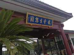 -龙寺生态园