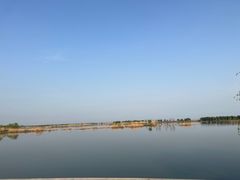 -合肥滨湖国家森林公园