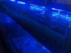 -特色酱椒鱼私房菜(黄鹤楼店)