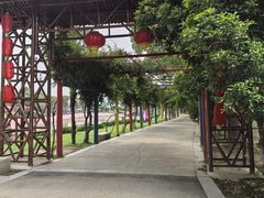 -苏州太湖西山岛开心农场