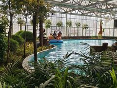 -南宫五洲植物乐园