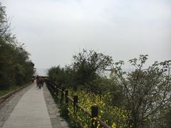 -巢湖姥山岛