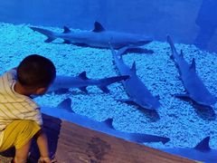 -华夏文旅海洋公园