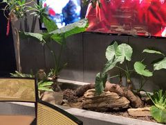 -陈熹公民族美食文化餐厅(中华广场店)