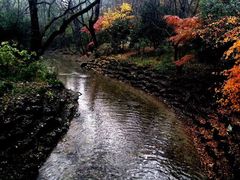 -西湖风景区十里琅珰-五云山