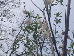 -桃花涧