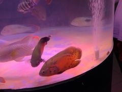 -欧亚达商业广场(红桥店)