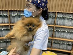 -联合动物医院(光谷诊疗中心)
