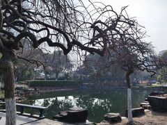 -昆山城市公园