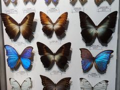 -吉林省自然博物馆