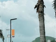 -螺州海滨公园