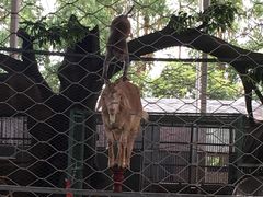 -泉州海丝野生动物世界