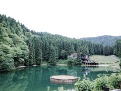-武陵山森林公园