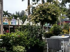 -花神·轻食简餐·咖啡馆·花卉绿植(荷兰花卉小镇店)