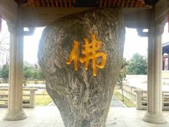 -陈记菜馆·非遗淮扬菜(东关街教场店)