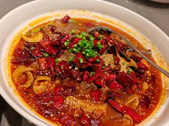 -金鼎轩(亚运村店)