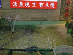 -楚鱼王·河鲜·湖北菜(华农店)