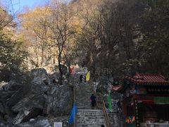 -北京上方山国家森林公园