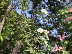 -仙海旅游度假区