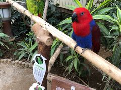 -南宫五洲植物乐园