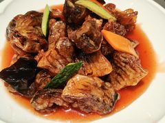 -燕春楼(海河华鼎店)