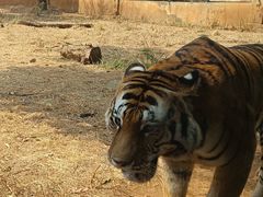 -昆明动物园