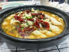 -虎虎龙虾大排档(双井店)