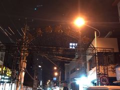 -溪岸路花鸟市场