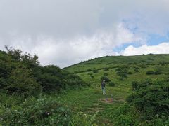 -秦岭风景区