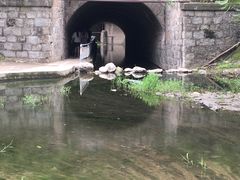 -白水寺森林公园