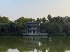 -柳侯公园