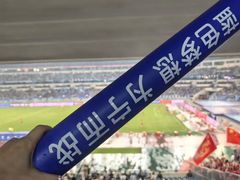 -南京奥林匹克体育中心-体育馆