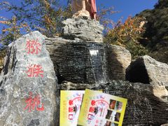 -大岭沟猕猴桃谷风景区