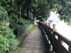 -成都市活水公园