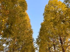 -食膳公园包子铺(烈士公园店)