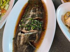 -舌尖上·霞浦滩涂海鲜·新闽菜(总店)