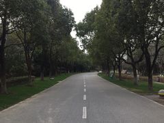 -贡湖湾湿地公园