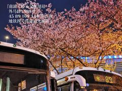 -南浦大桥长途旅游客运站