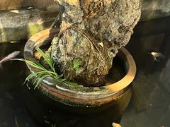 -夹夹大·蟹蟹大排档(财富又一城店)