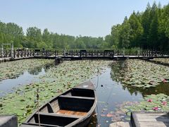 -溱湖国家湿地公园