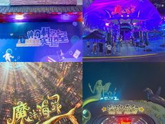 -海合安青岛极地海洋公园