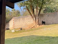 -雅和生态渔庄·宜城锅巴饭(龙灵山公园店)