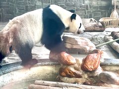 -黔灵山公园