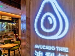 -油梨树AVOCADO TREE(嘉里中心店)
