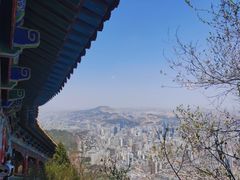 -兰山公园
