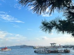-八大峡公园