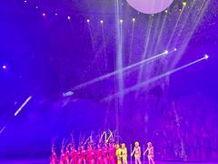 -灵玲国际马戏城